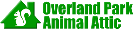 Overland Park Animal Attic